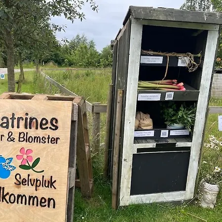 Farmen - Beautiful View Among Animals Appartamento Ornebjerg