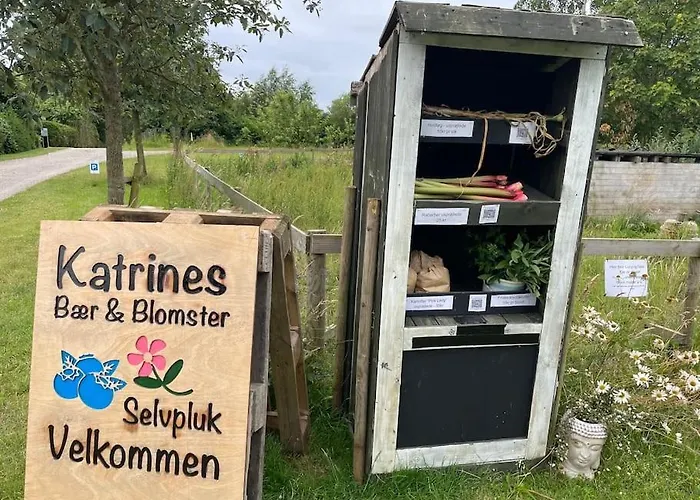 Farmen - Beautiful View Among Animals Appartamento Ornebjerg
