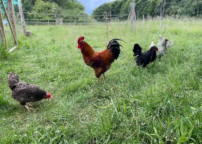 Appartamento Farmen - Beautiful View Among Animals Ornebjerg